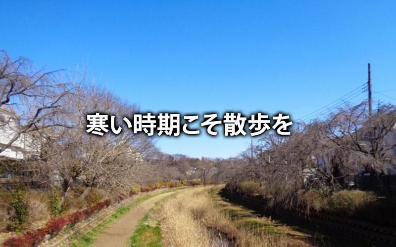 寒い時期こそ散歩を