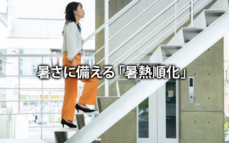 暑さに備える「暑熱順化」