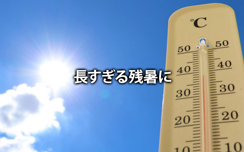 長すぎる残暑に